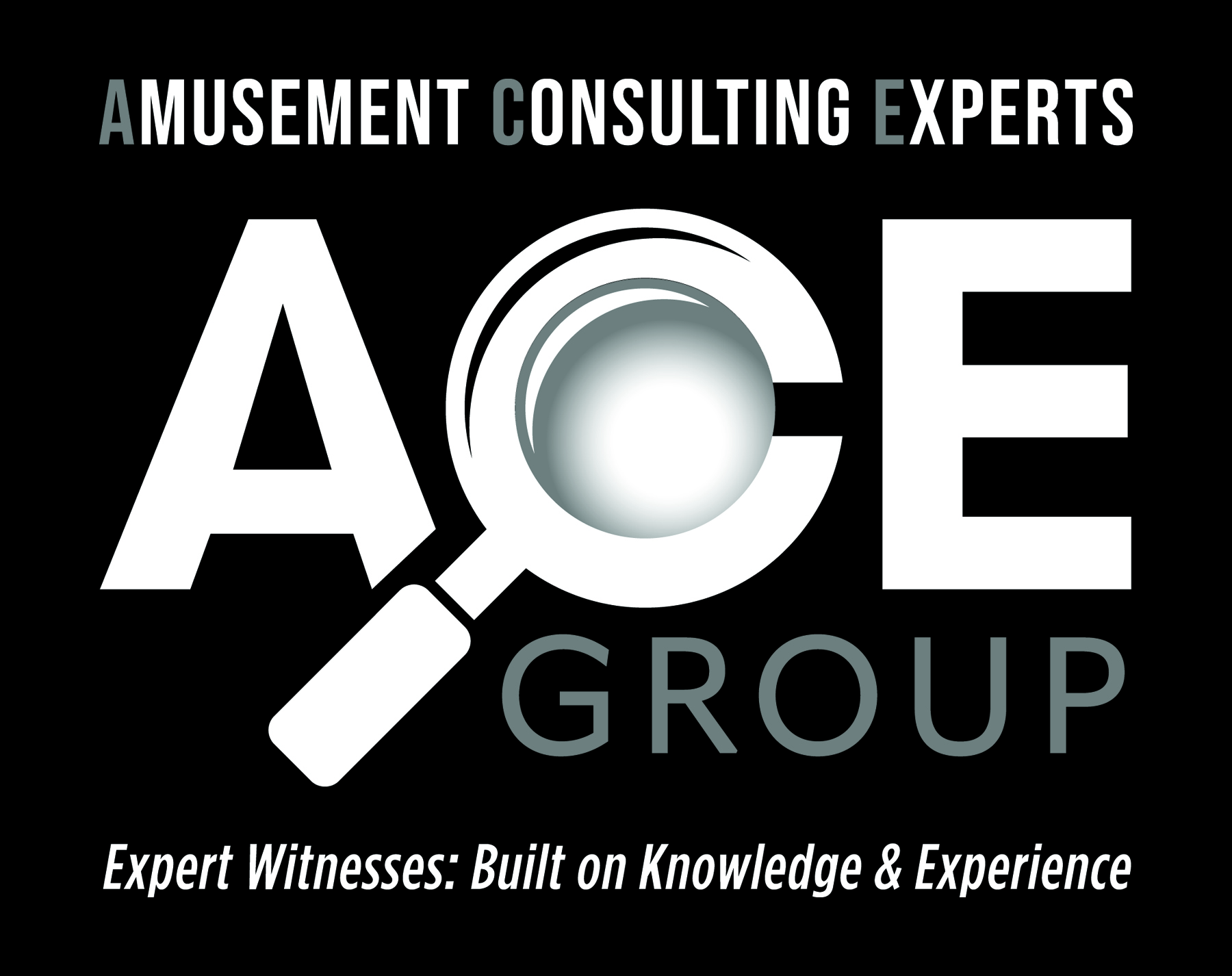 Ace Group Expert Witness