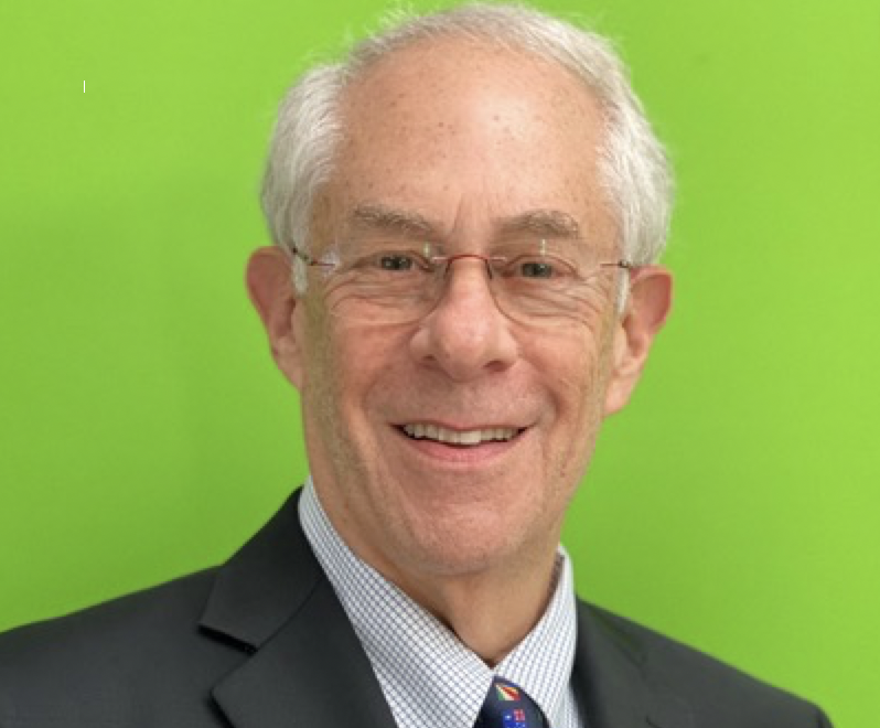 Alan M. Rapoport Expert Witness