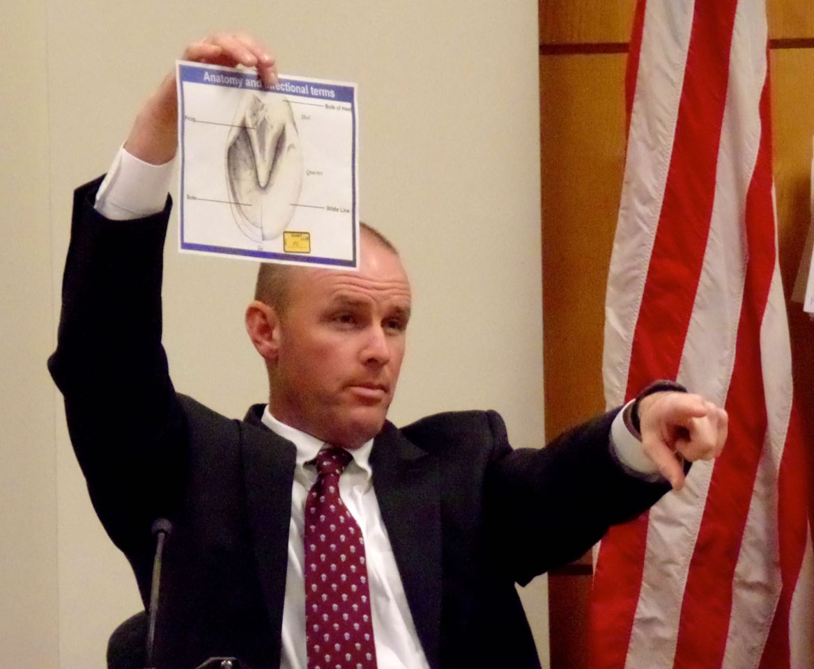 Bart Sutherland Expert Witness