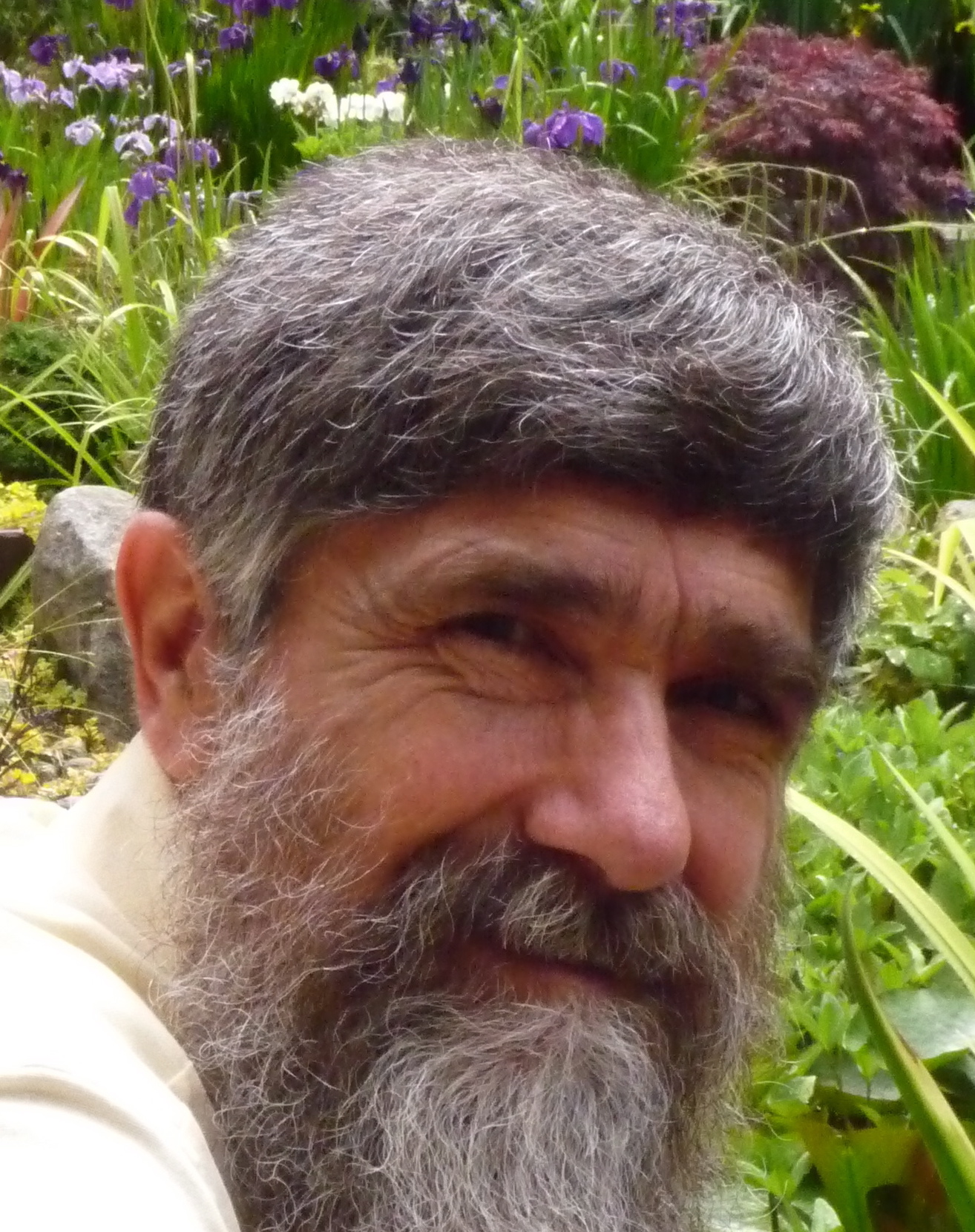 Bill Uhl Expert Witness