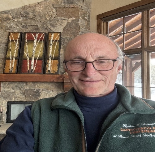 Brian Litch Expert Witness