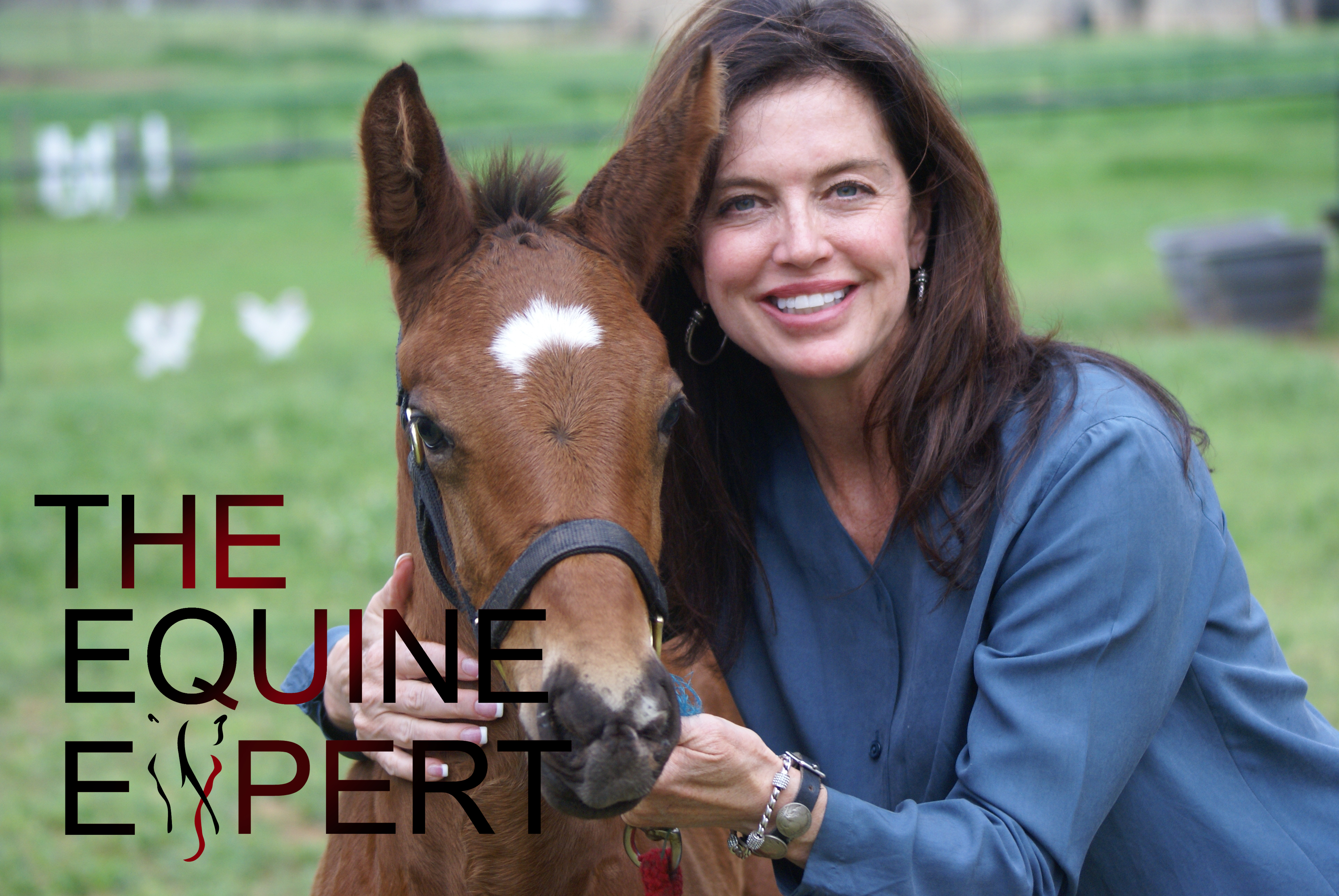 Bridget R Brandon Expert Witness