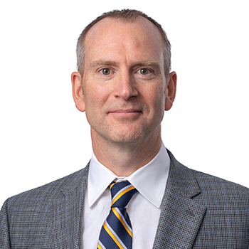 Christopher D. Roche Expert Witness