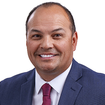 David Songer Expert Witness