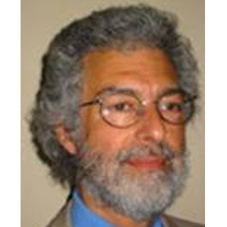 Howard J Cohen Expert Witness