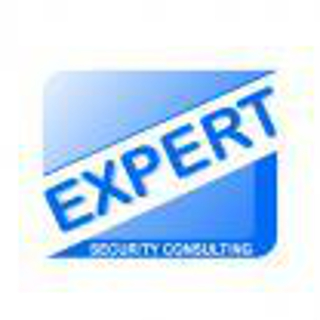 Howard Levinson Expert Witness