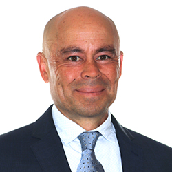 Ian Adamson Expert Witness