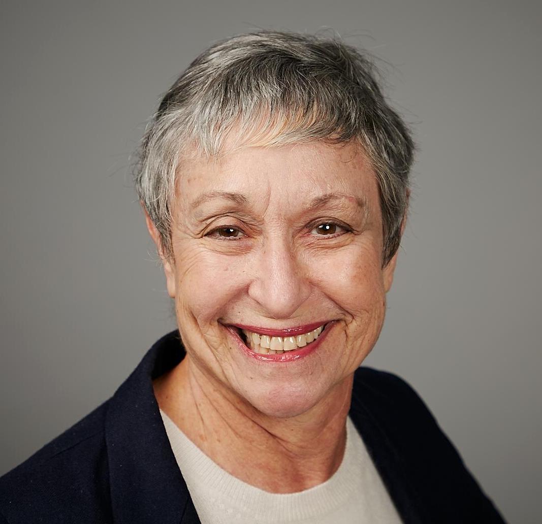 Karen J. Orlin Expert Witness