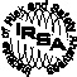 Kenneth A Solomon Expert Witness