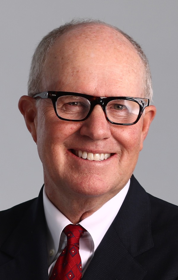 Michael F Arrigo Expert Witness