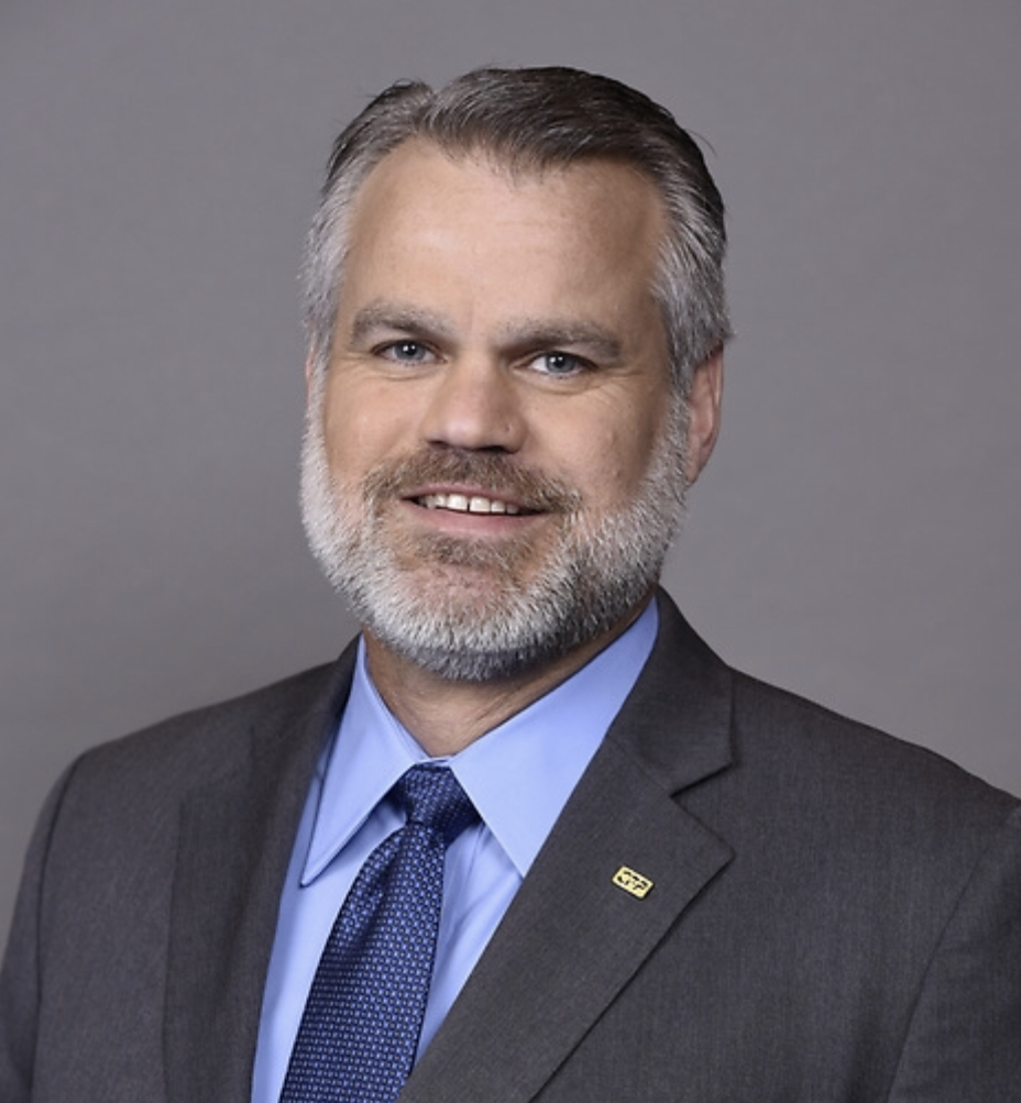 Michael S. D'angelo Expert Witness