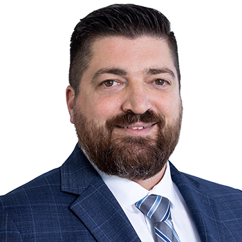 Michael Vallone Expert Witness