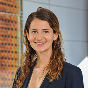 Molly M. Memel Expert Witness