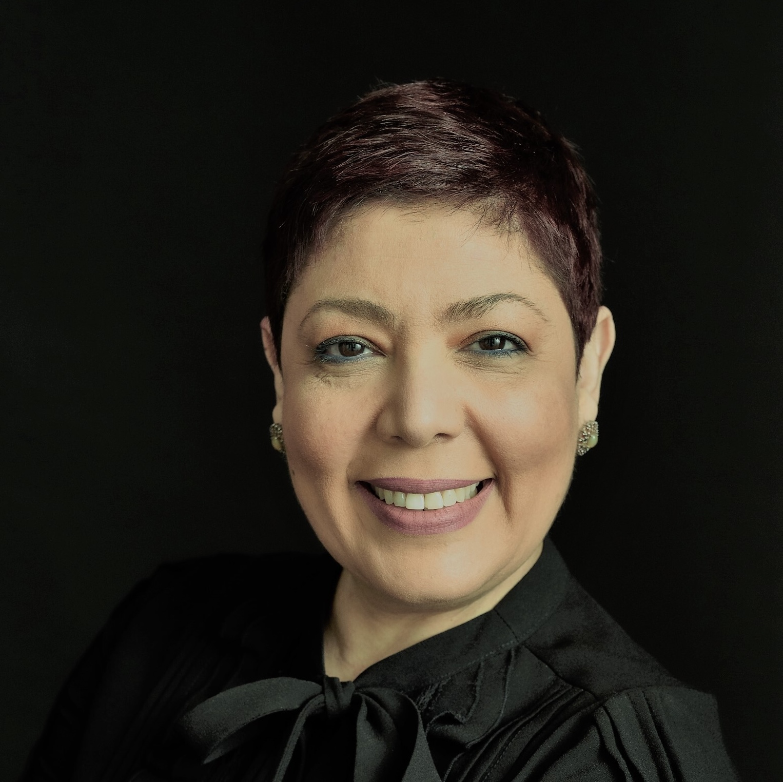 Mona Shawky Expert Witness