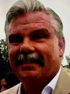 Richard A Stripp Expert Witness