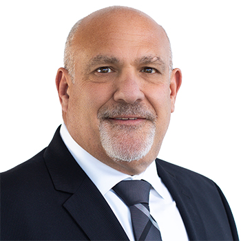 Ronald J. Natoli Expert Witness