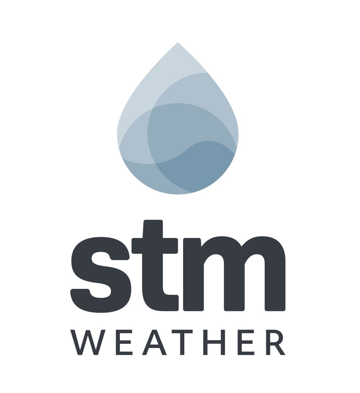 Stm Weather Expert Witness