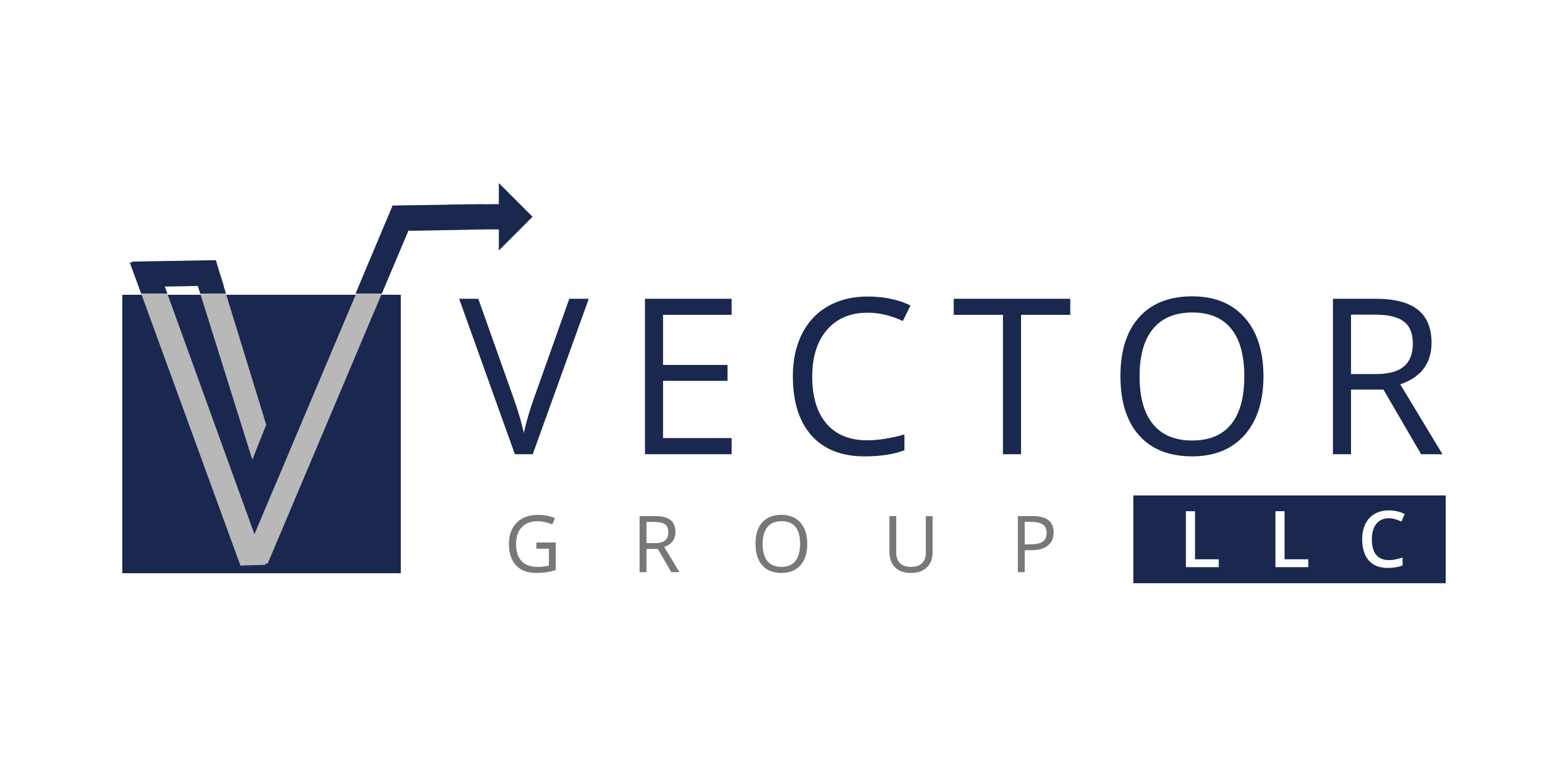 Vector Group Llc Expert Witness